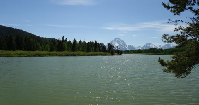 Oxbow Bend s Mt. Moran v pozadí - 