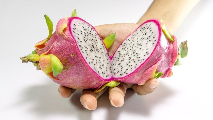 Rozříznutý čerstvý dragonfruit na půl