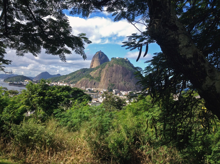 Výhled na cukrovou homoly (Pão de açúcar) z vrchu Morro do Pasmado