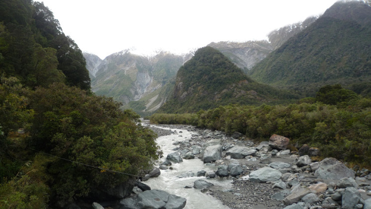 Cestou k ledovci Fox Glacier