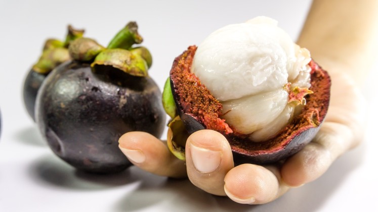 Vnitřek oblíbeného tropického ovoce mangosteen