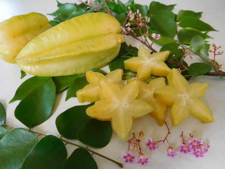 Carambola Starfruit má velmi specifickou chuť