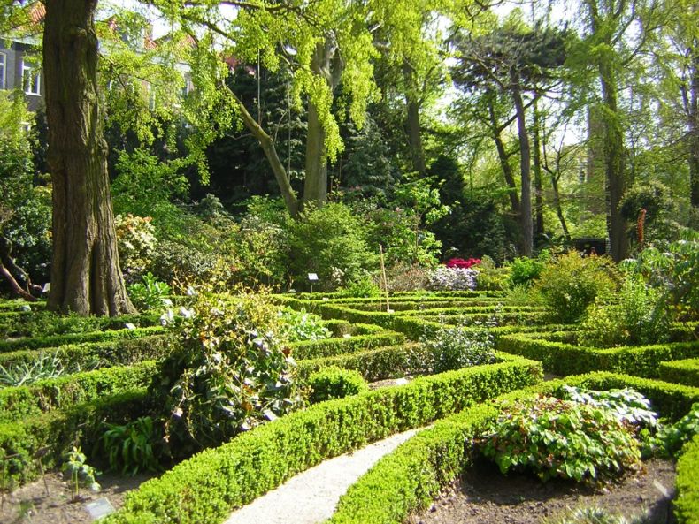 Botanické zahrady