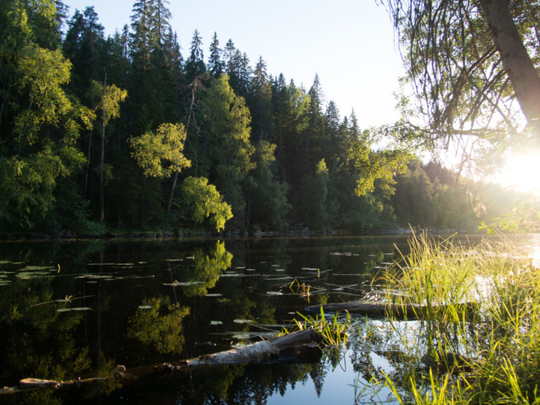 Národní park Helvetinjärvi