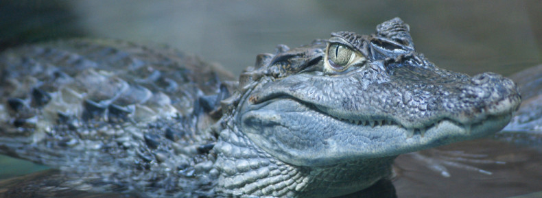 Zoo Montpellier