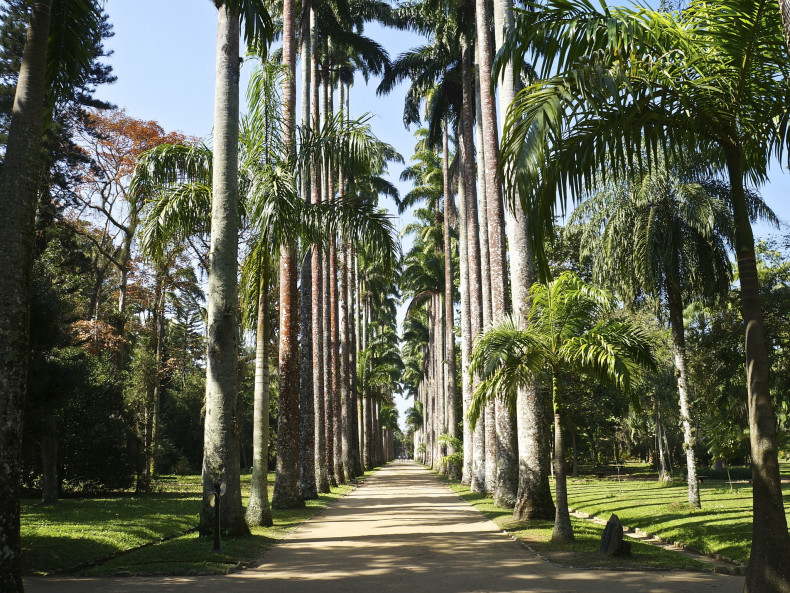 Jardim Botânico do Rio de Janeiro