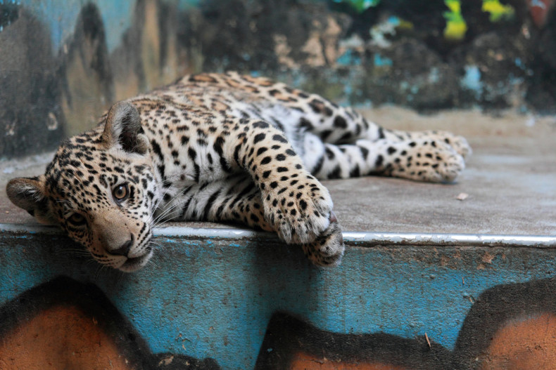 Zoo Bratislava