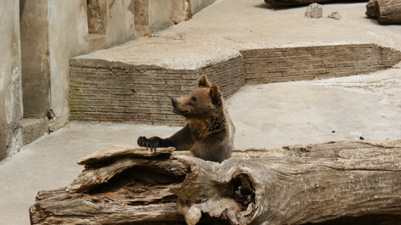 Zoo Bojnice