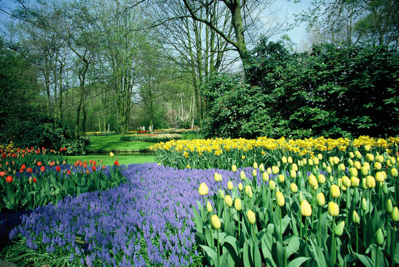 Keukenhof Gardens