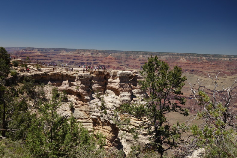 Mather Point