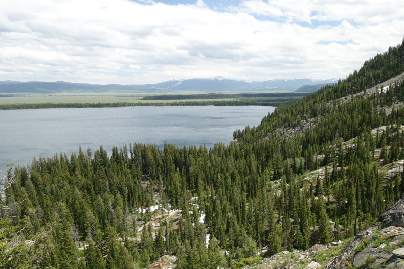 Jenny Lake