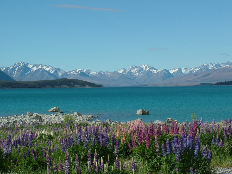 Tekapo