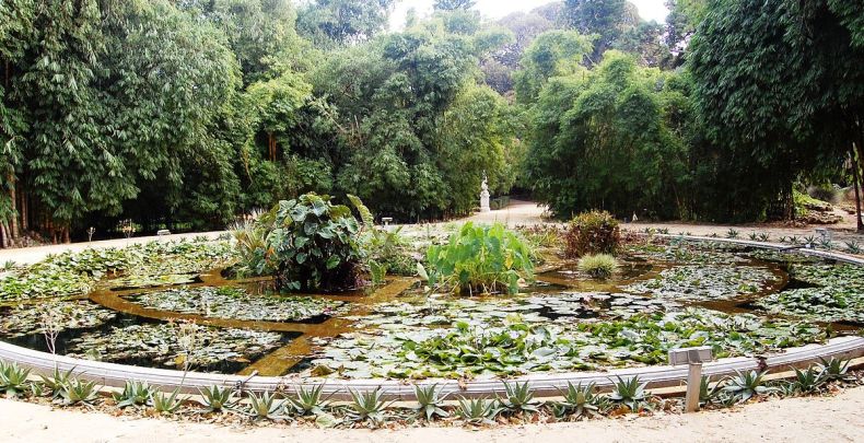 Orto Botanico di Palermo