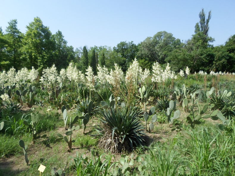 Ekologický park
