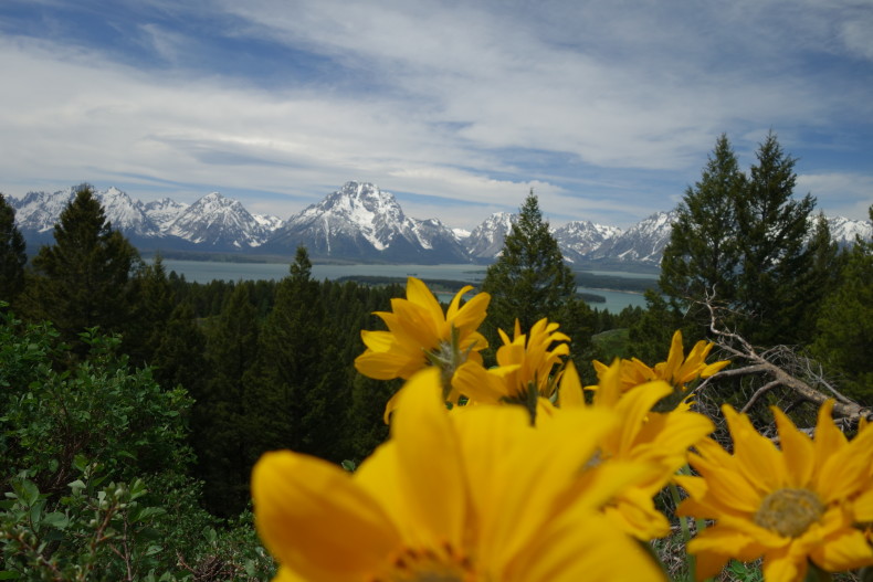 Jackson Lake