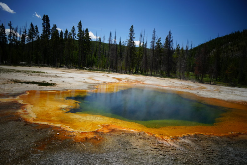 Emerald Spring