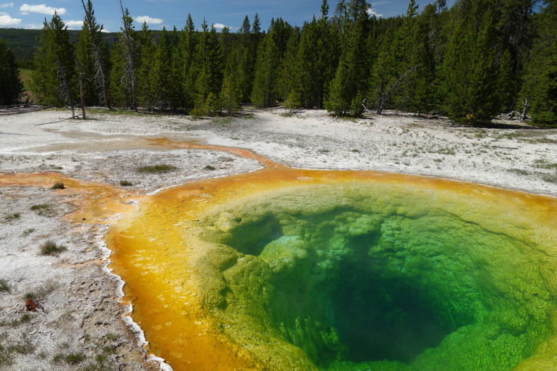 Morning Glory Pool