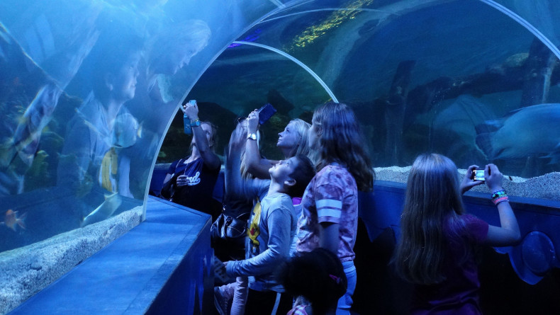 Sea life Haag