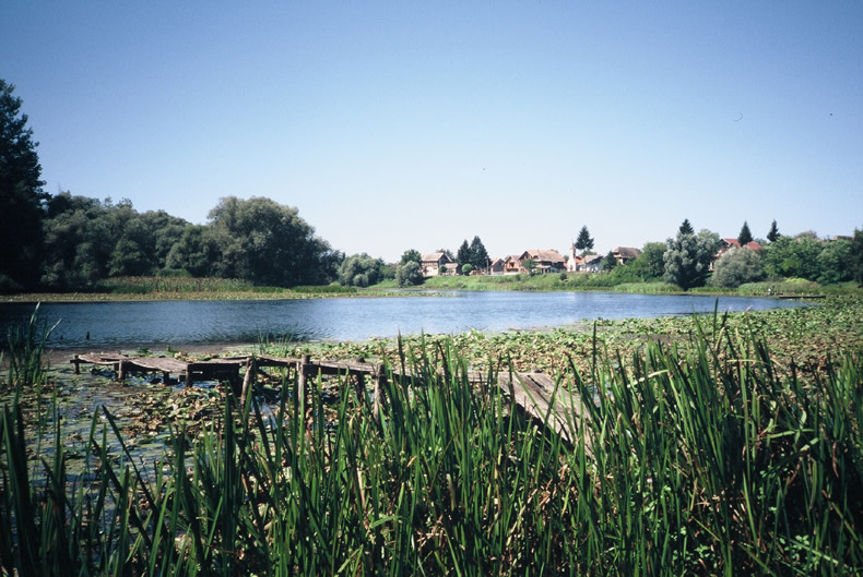 Lonjsko polje