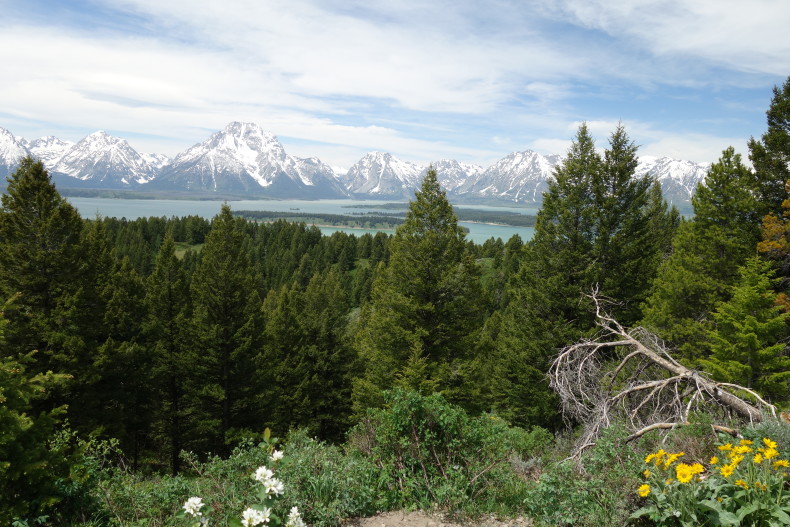 Grand Teton