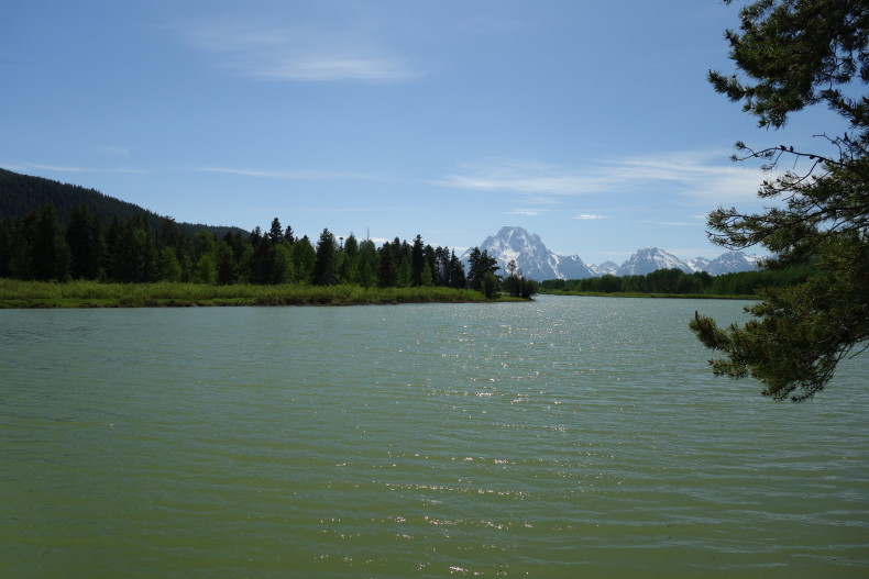 Oxbow Bend s Mt. Moran v pozadí