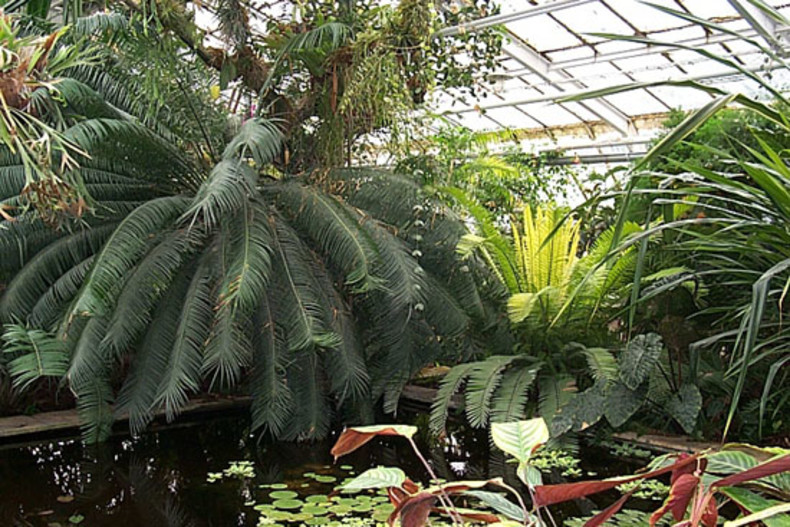 Botanická zahrada Košice