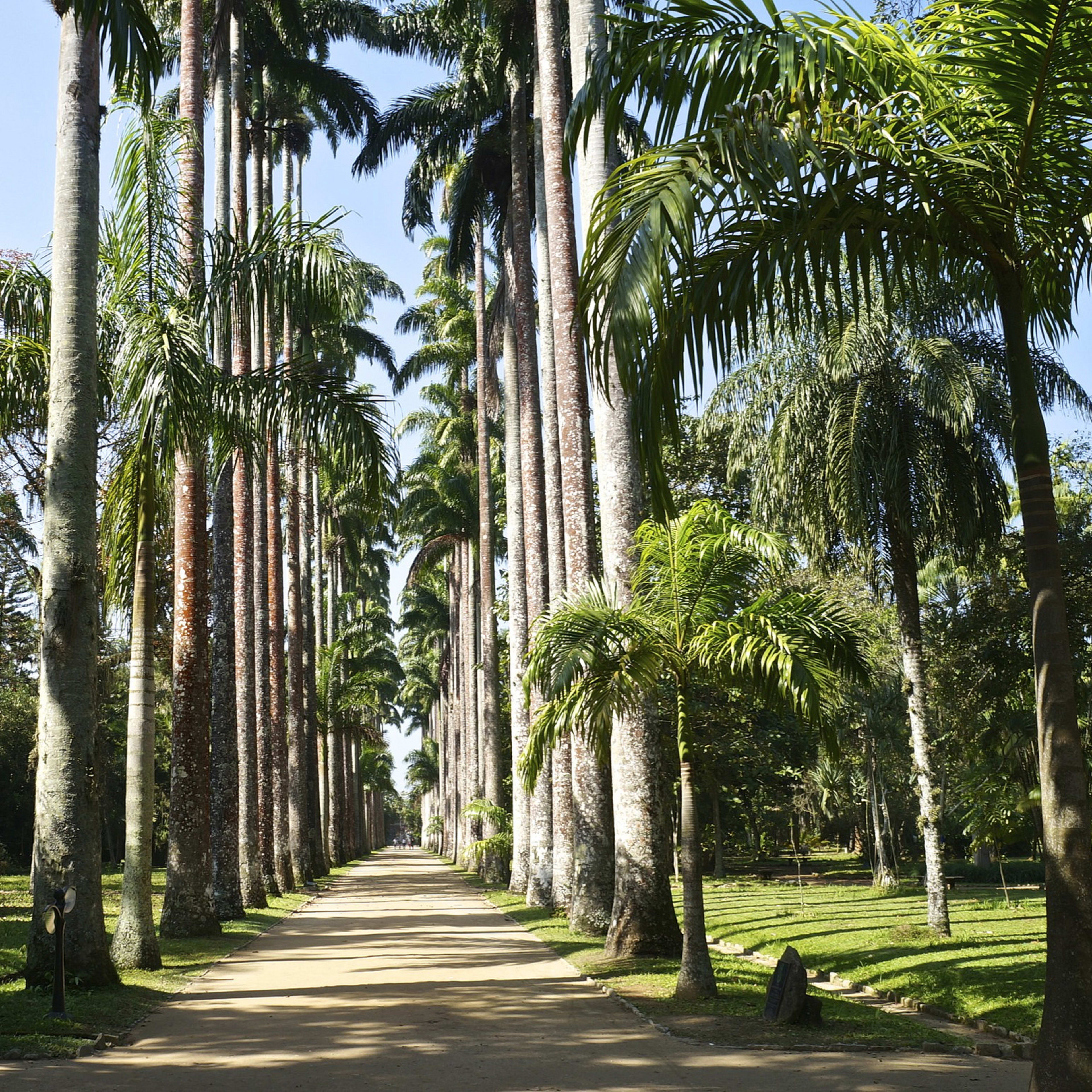 Botanická zahrada