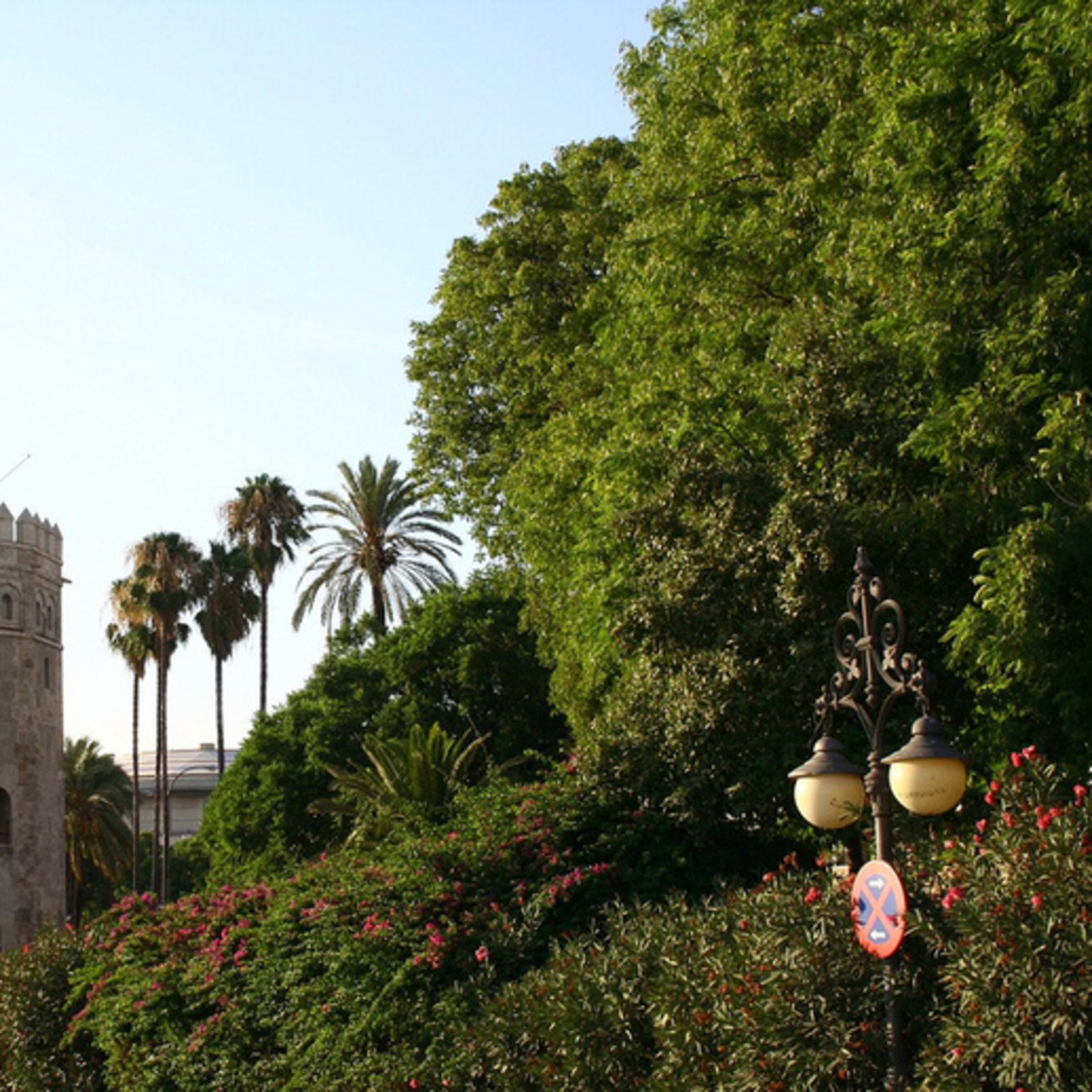 Torre del Oro