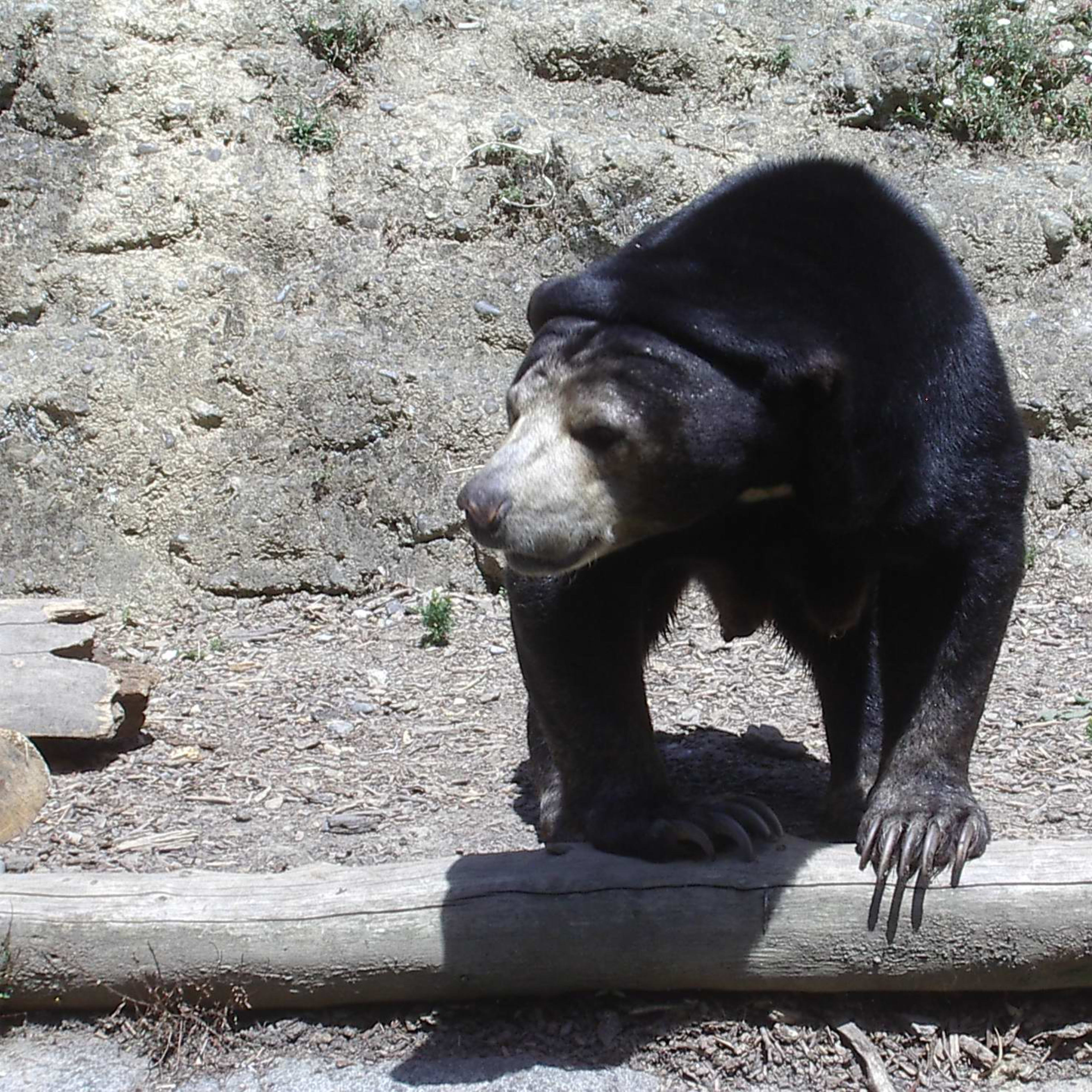 Zoologická zahrada