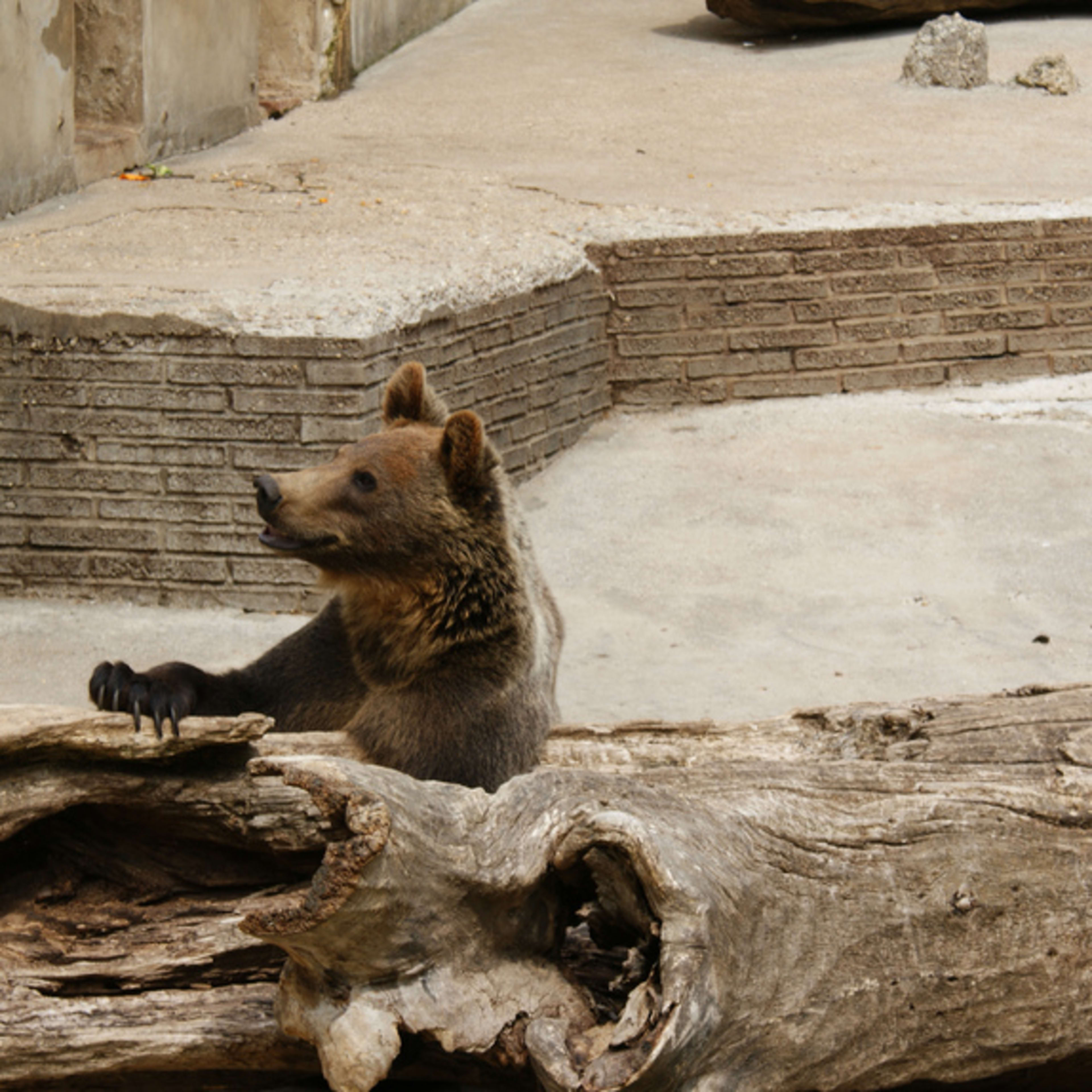 Zoo Bojnice