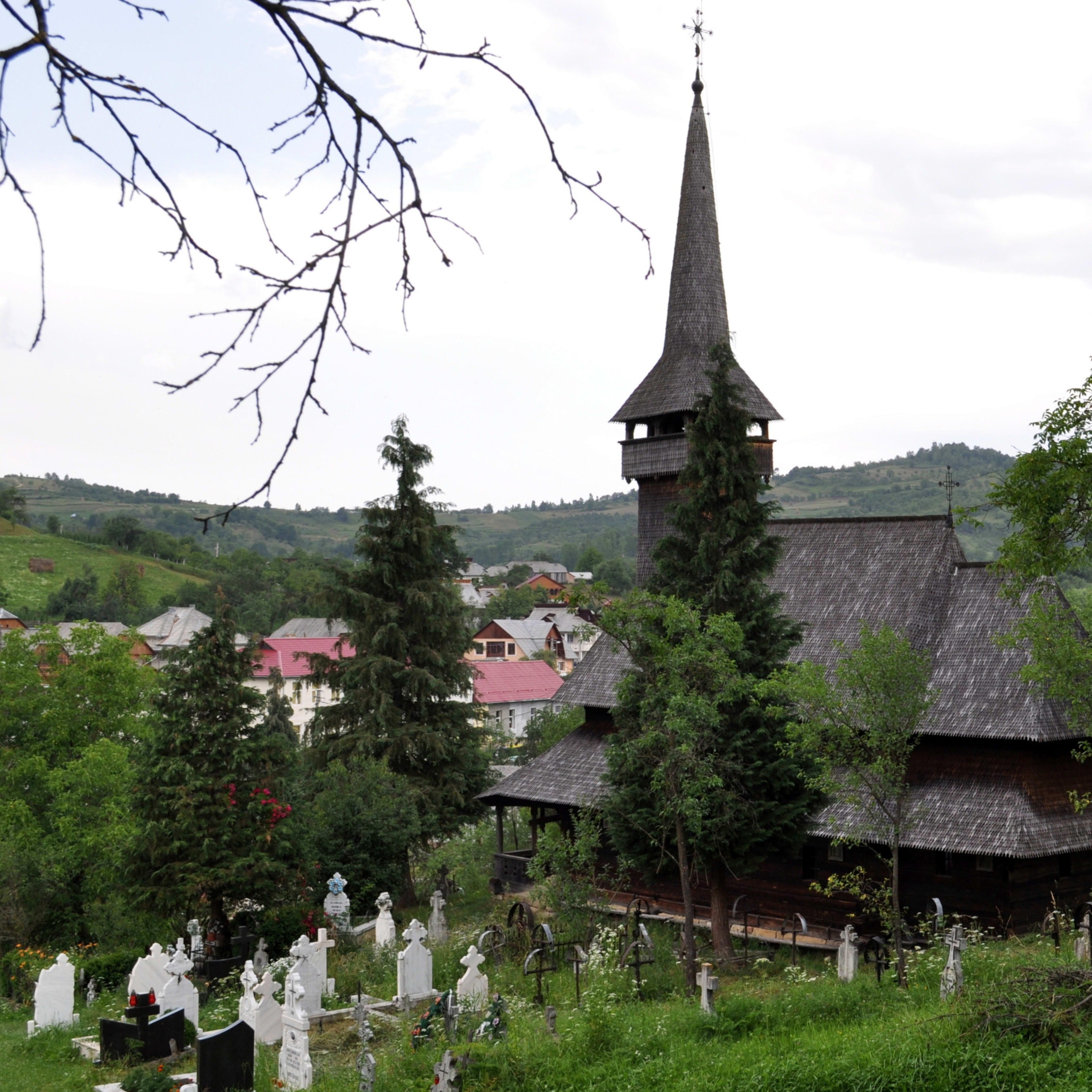 Poienile Izei