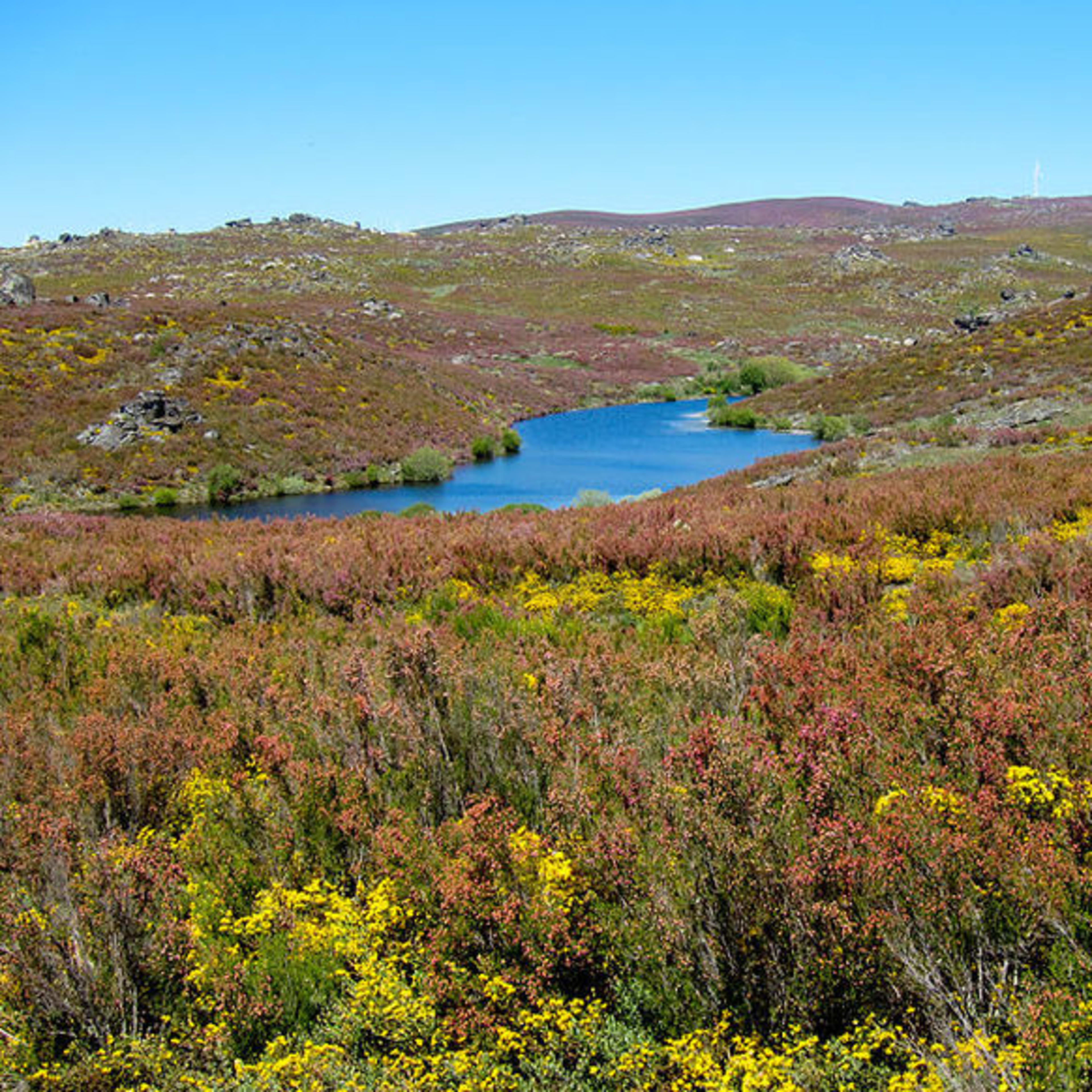 Parque Natural de Montesinho