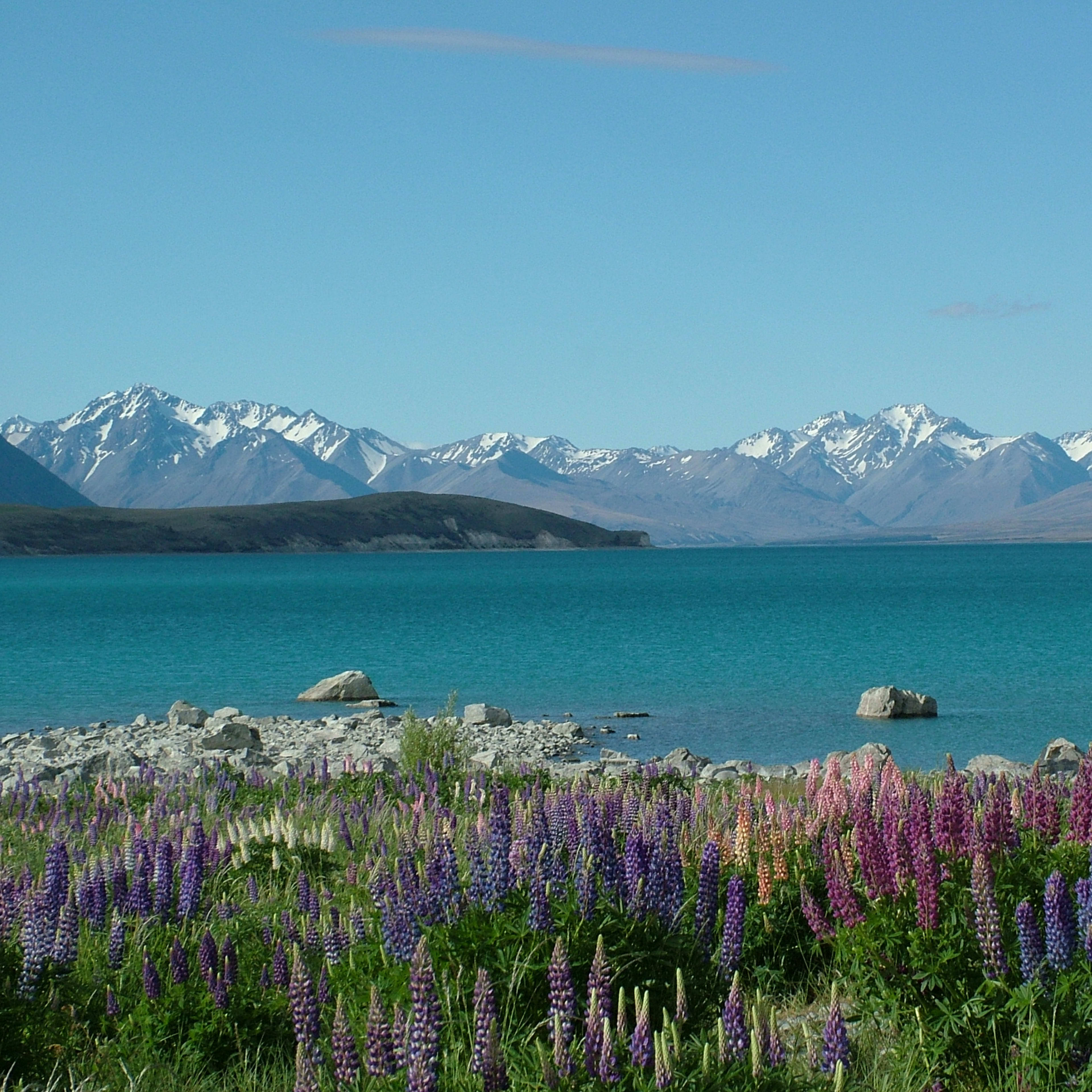 Lake Tekapo