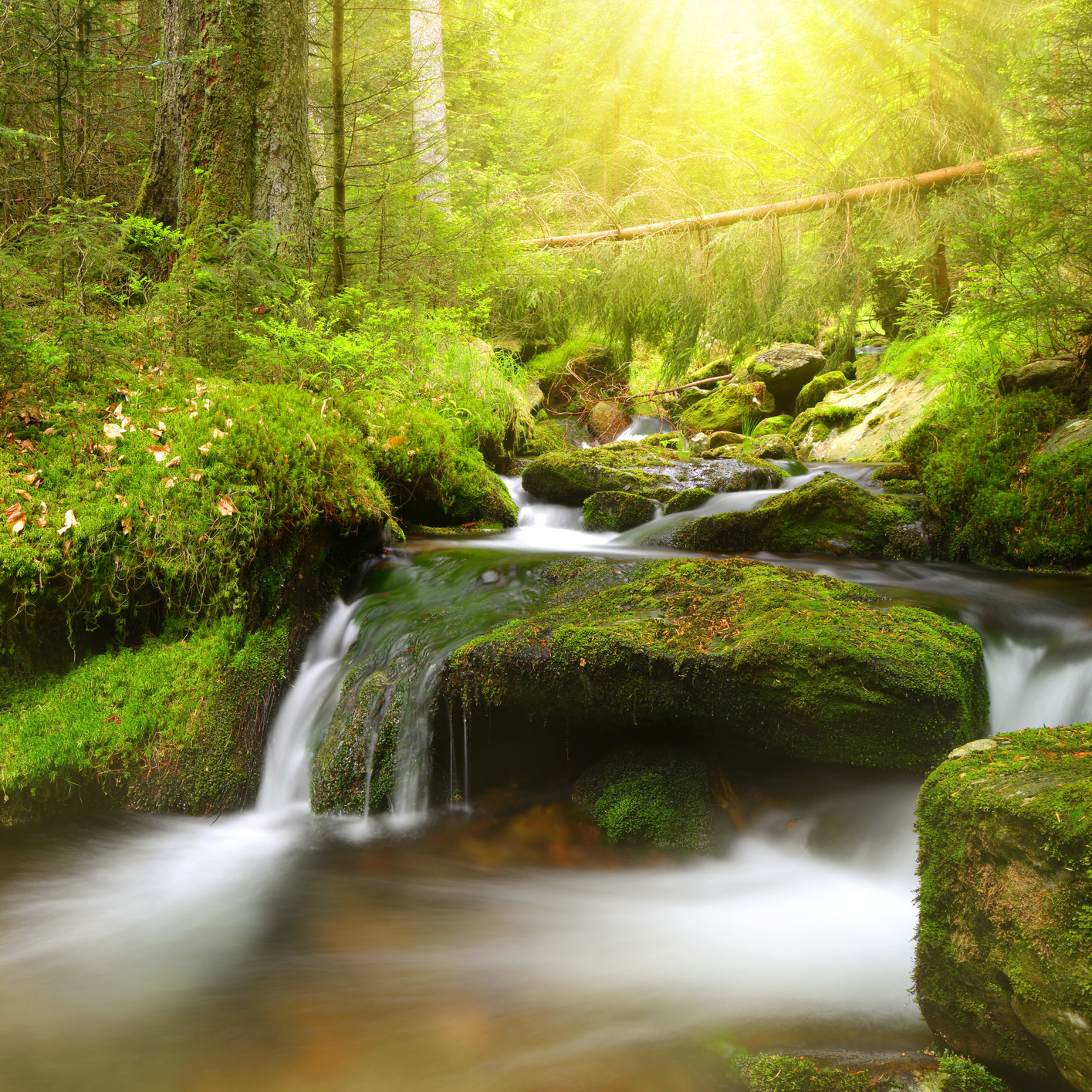 Šumava