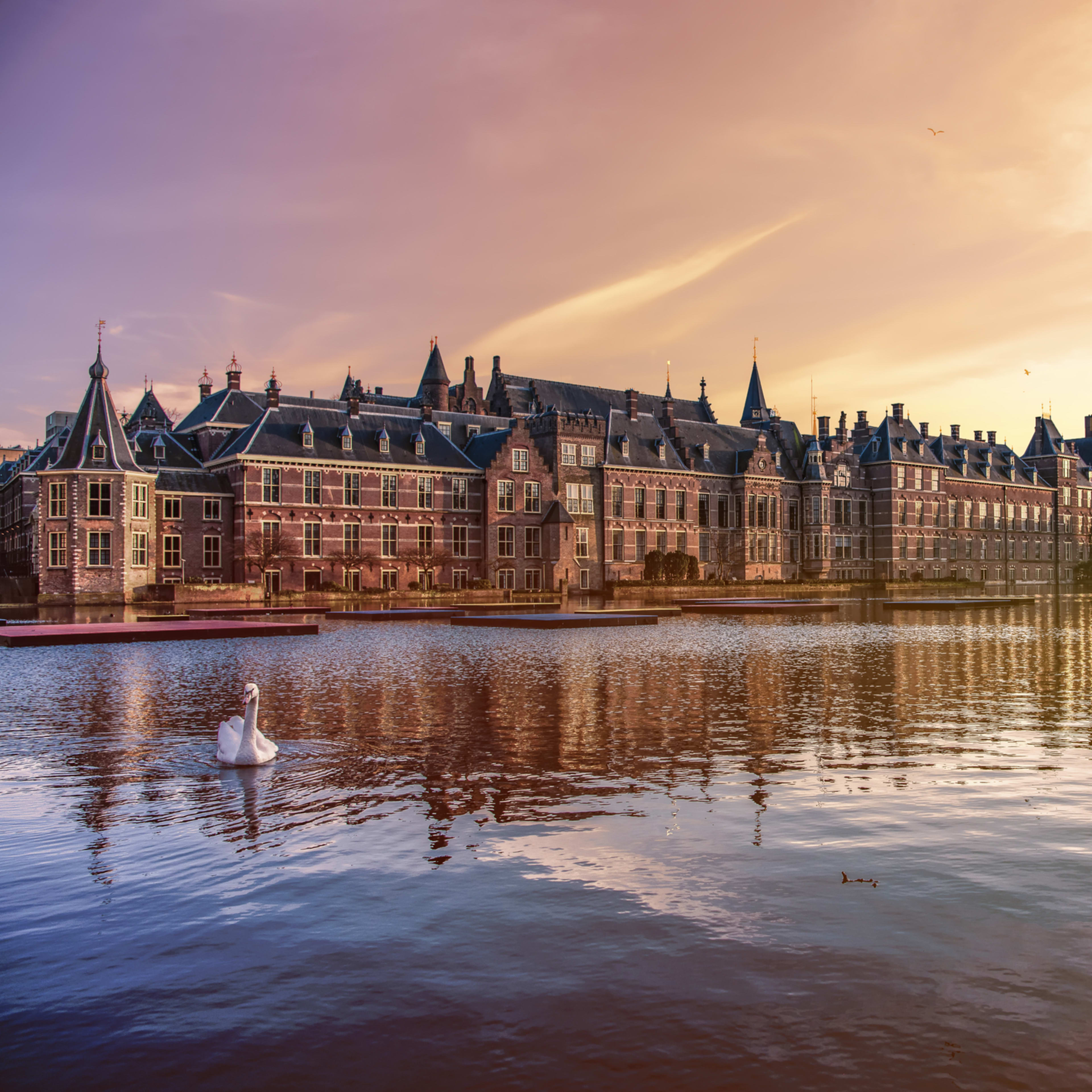 Haag