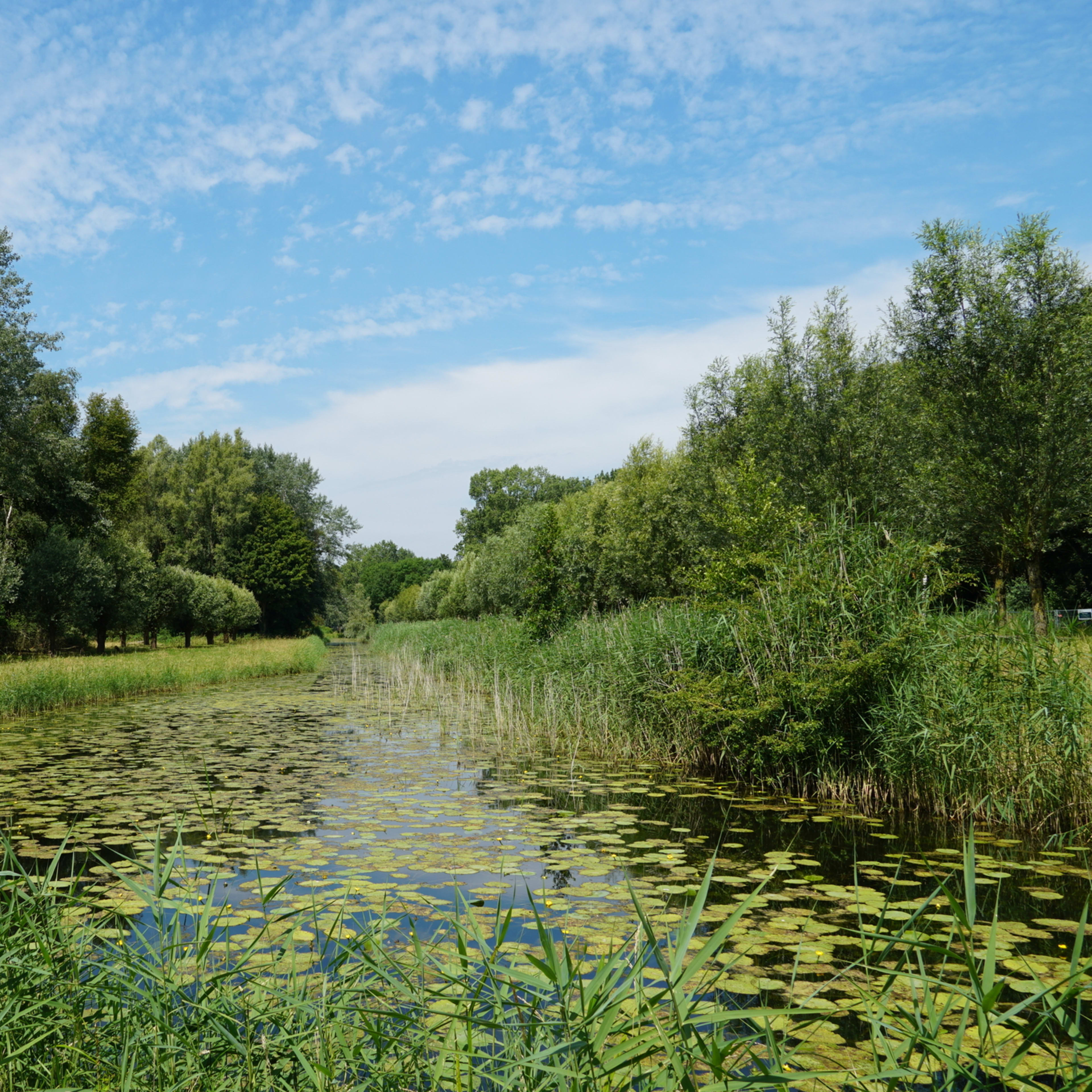 Národní park Biesbosch