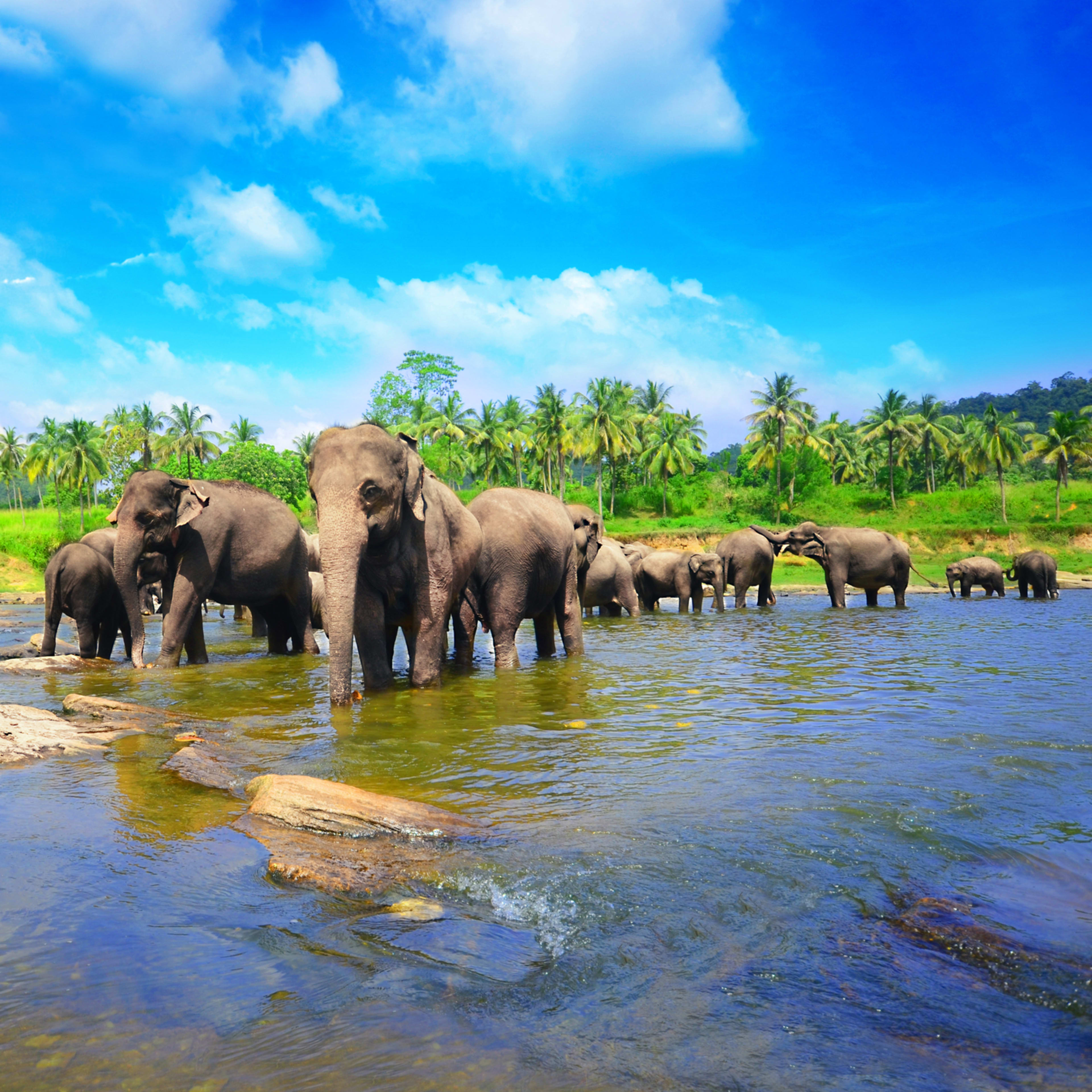 Srí Lanka