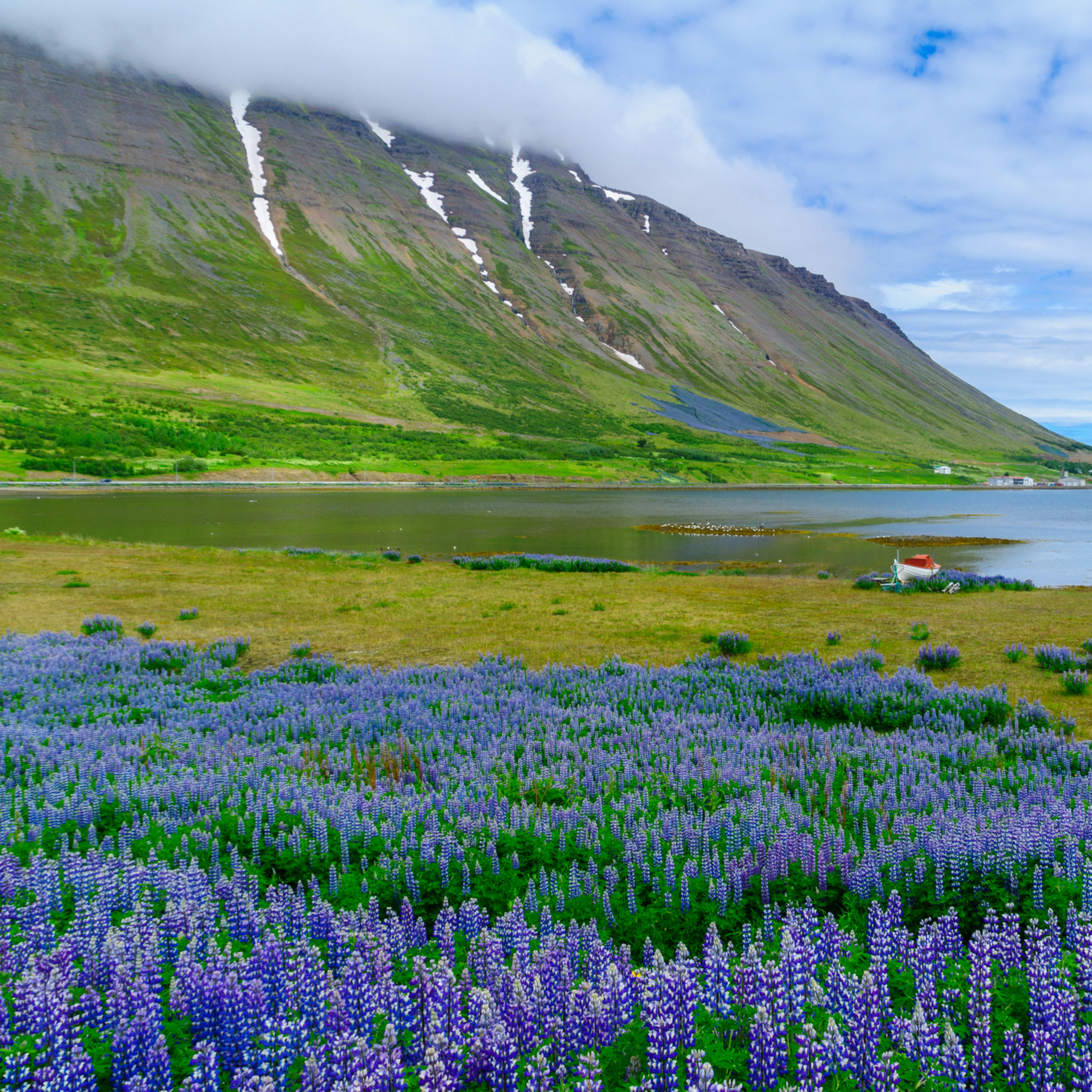 Ísafjörður