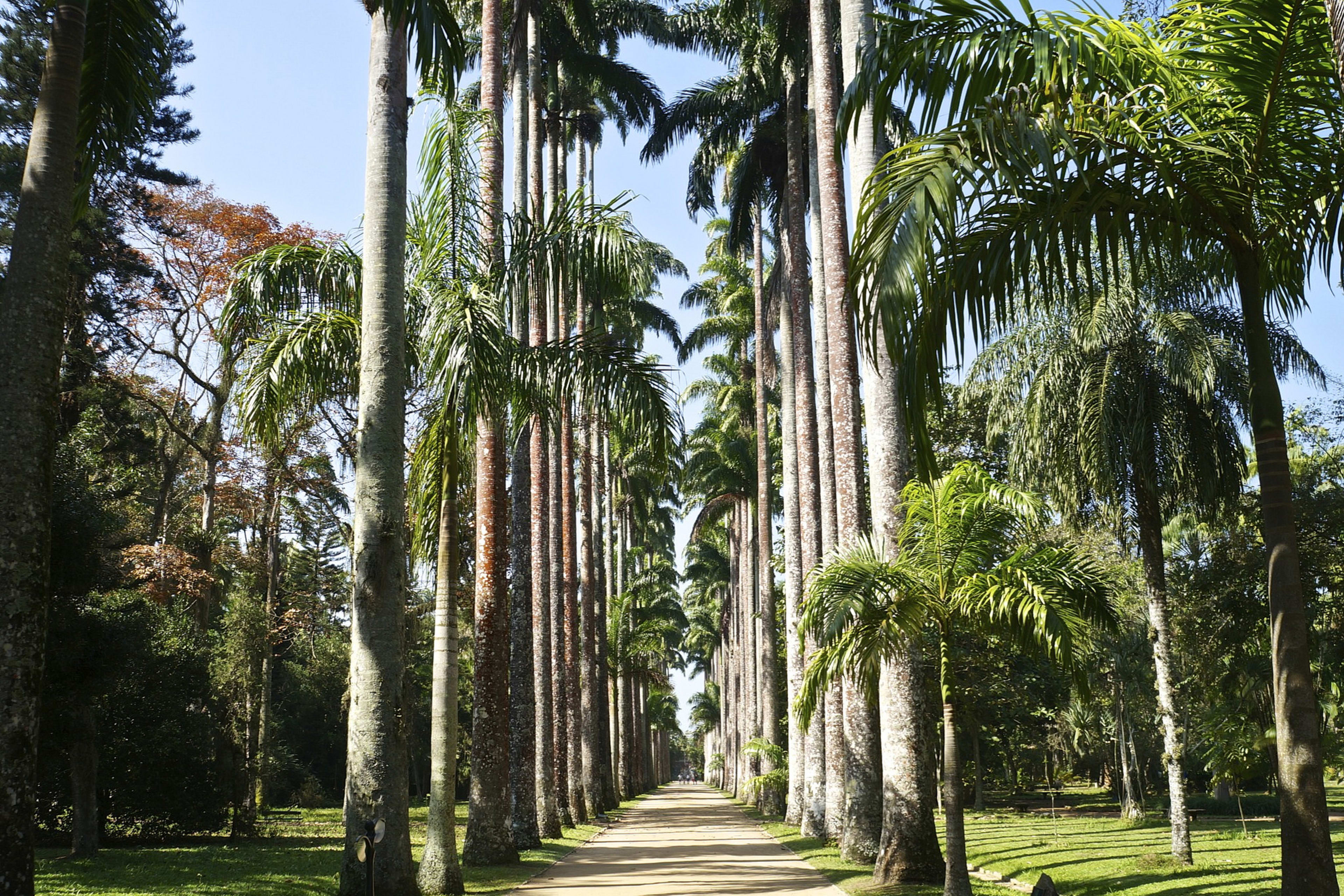 Botanická zahrada