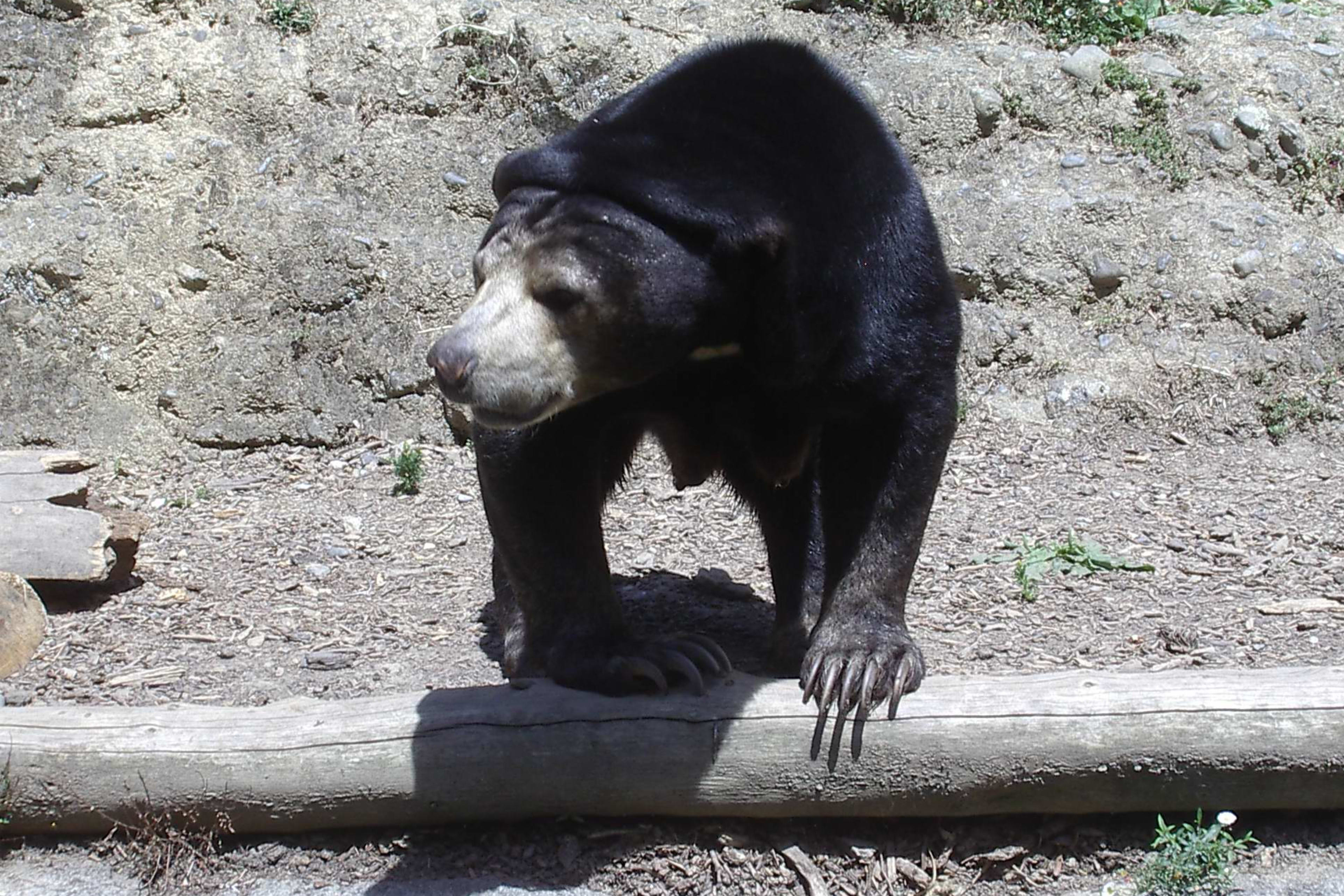 Zoologická zahrada