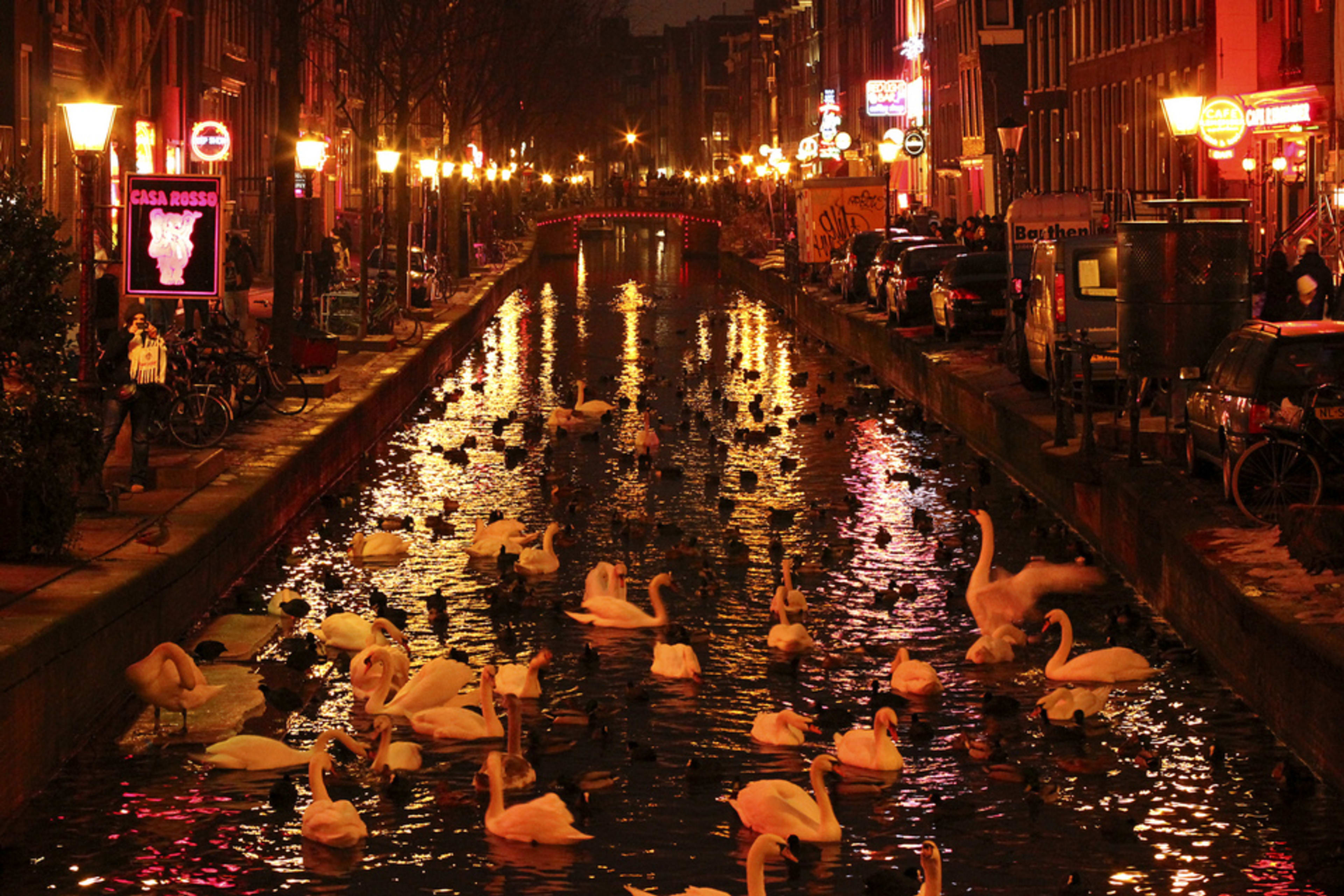 Red Light District
