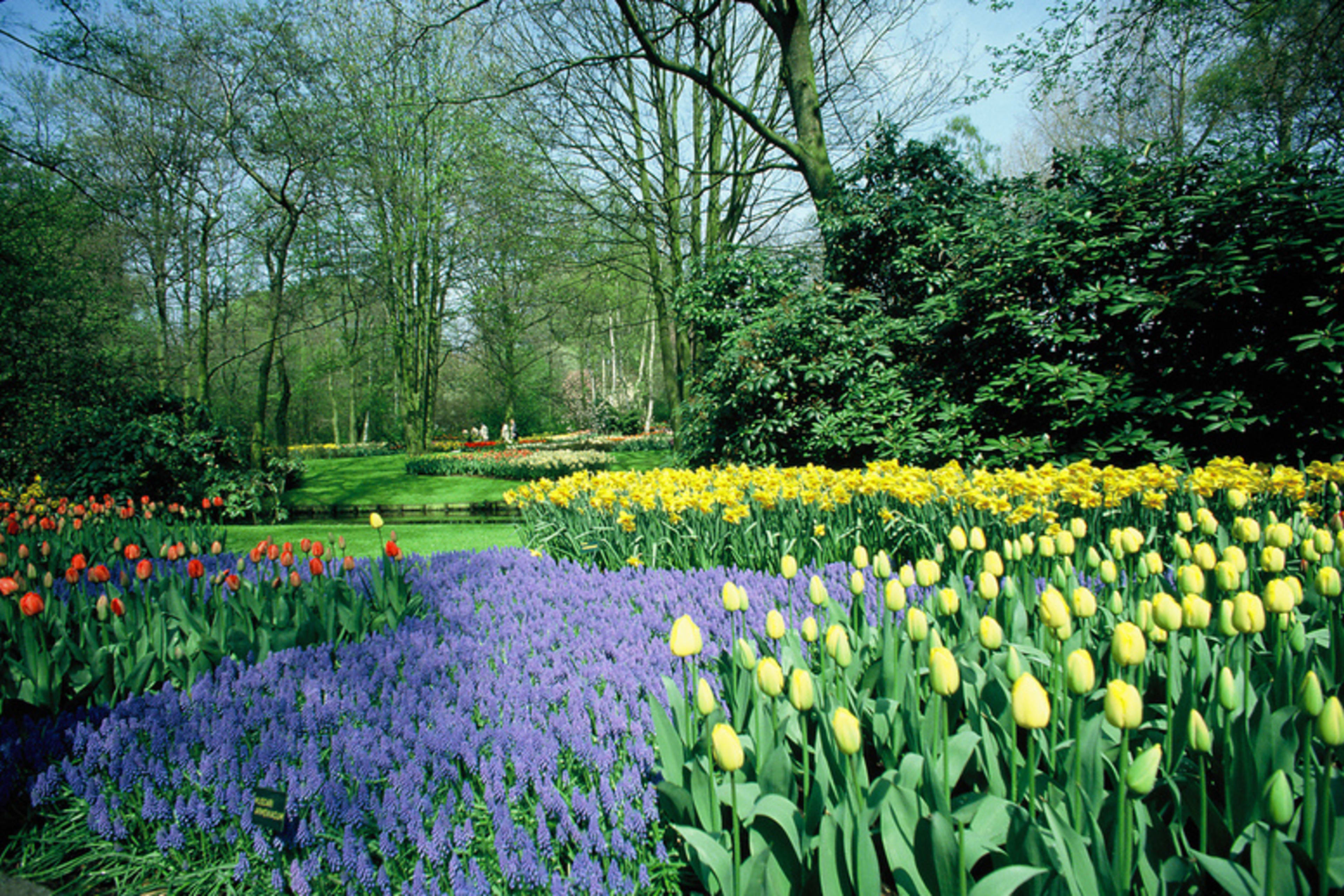 Zahrady Keukenhof
