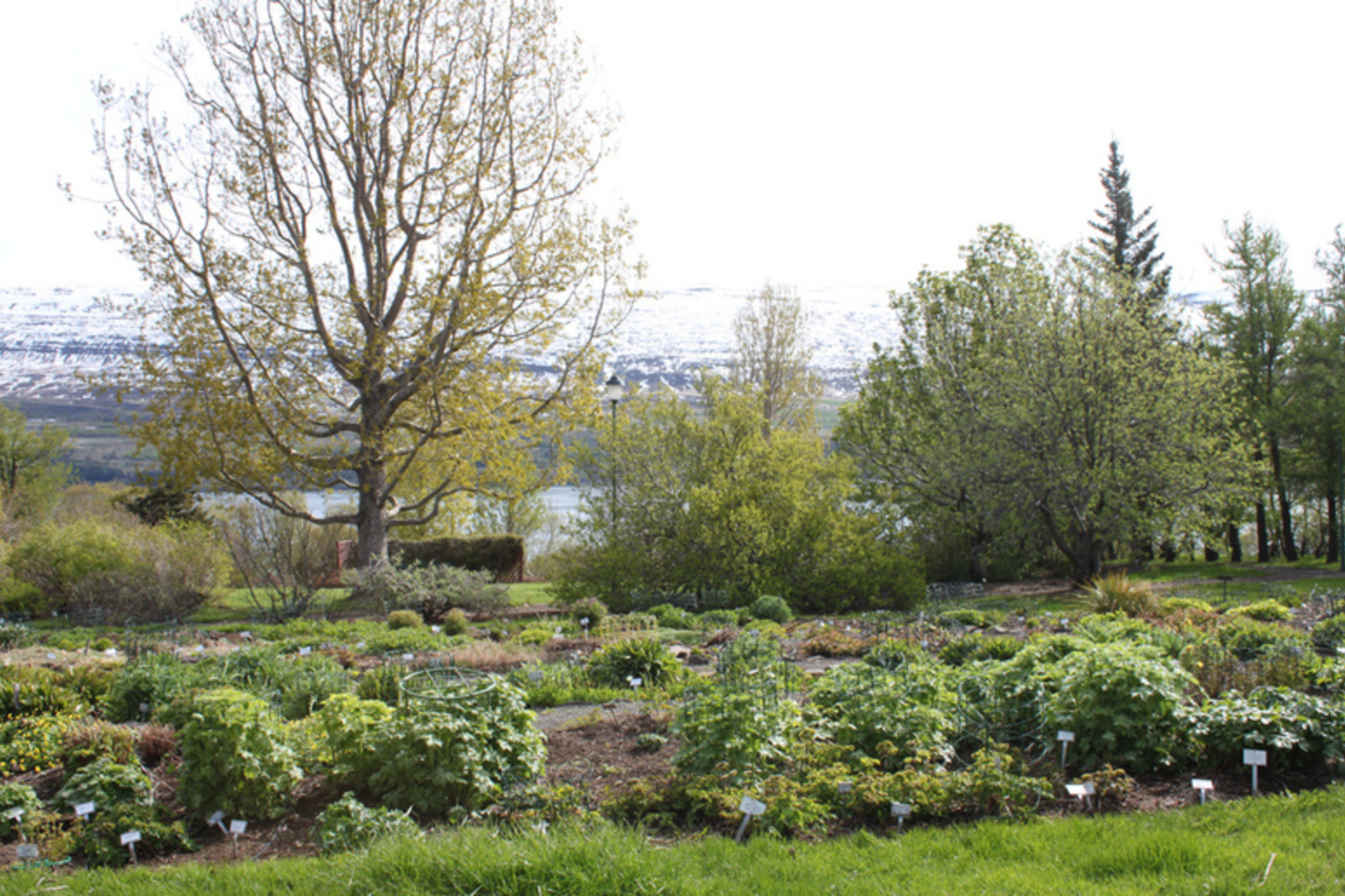 Botanická zahrada Lystigarður Akureyrar