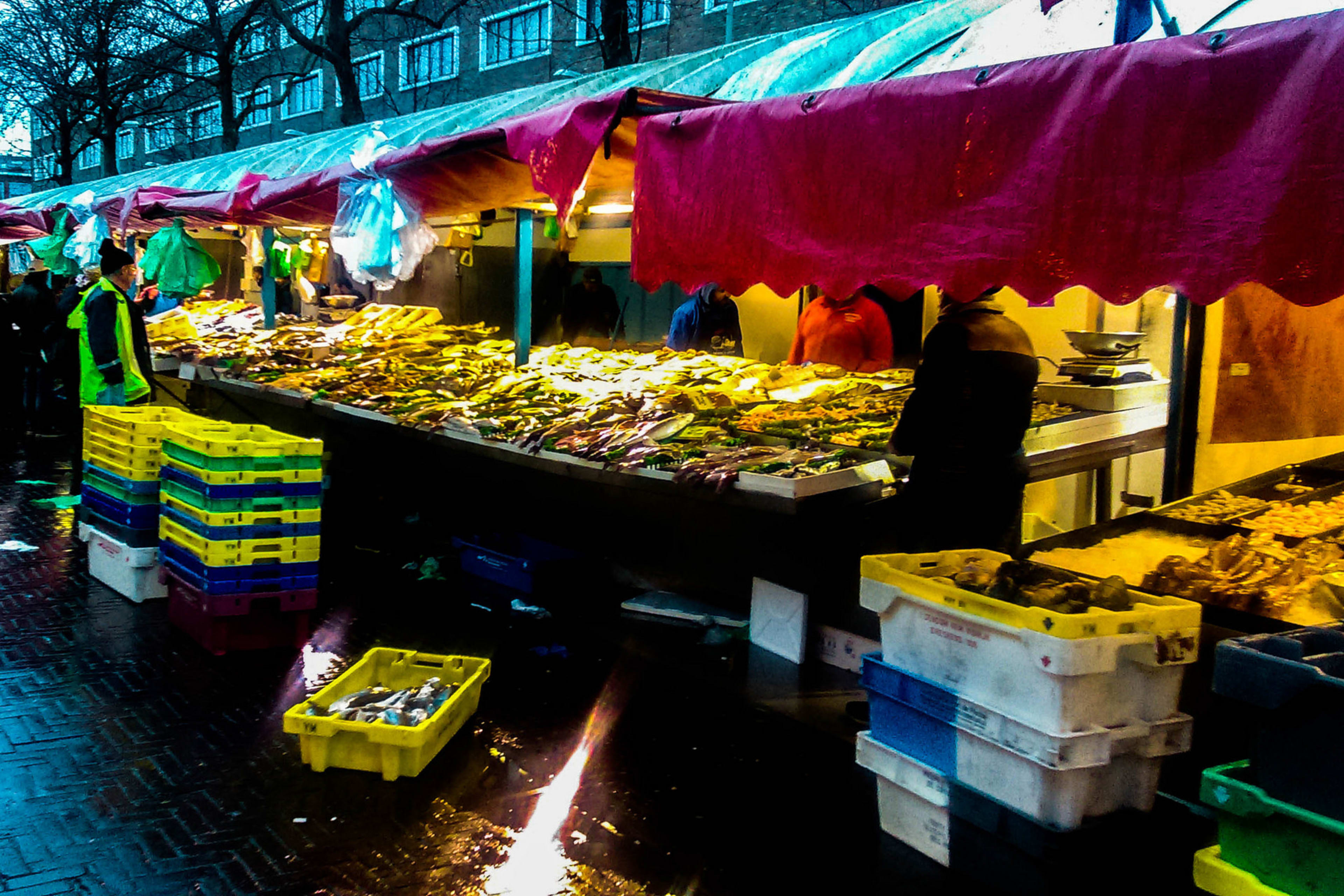 Trhy Haagse Markt