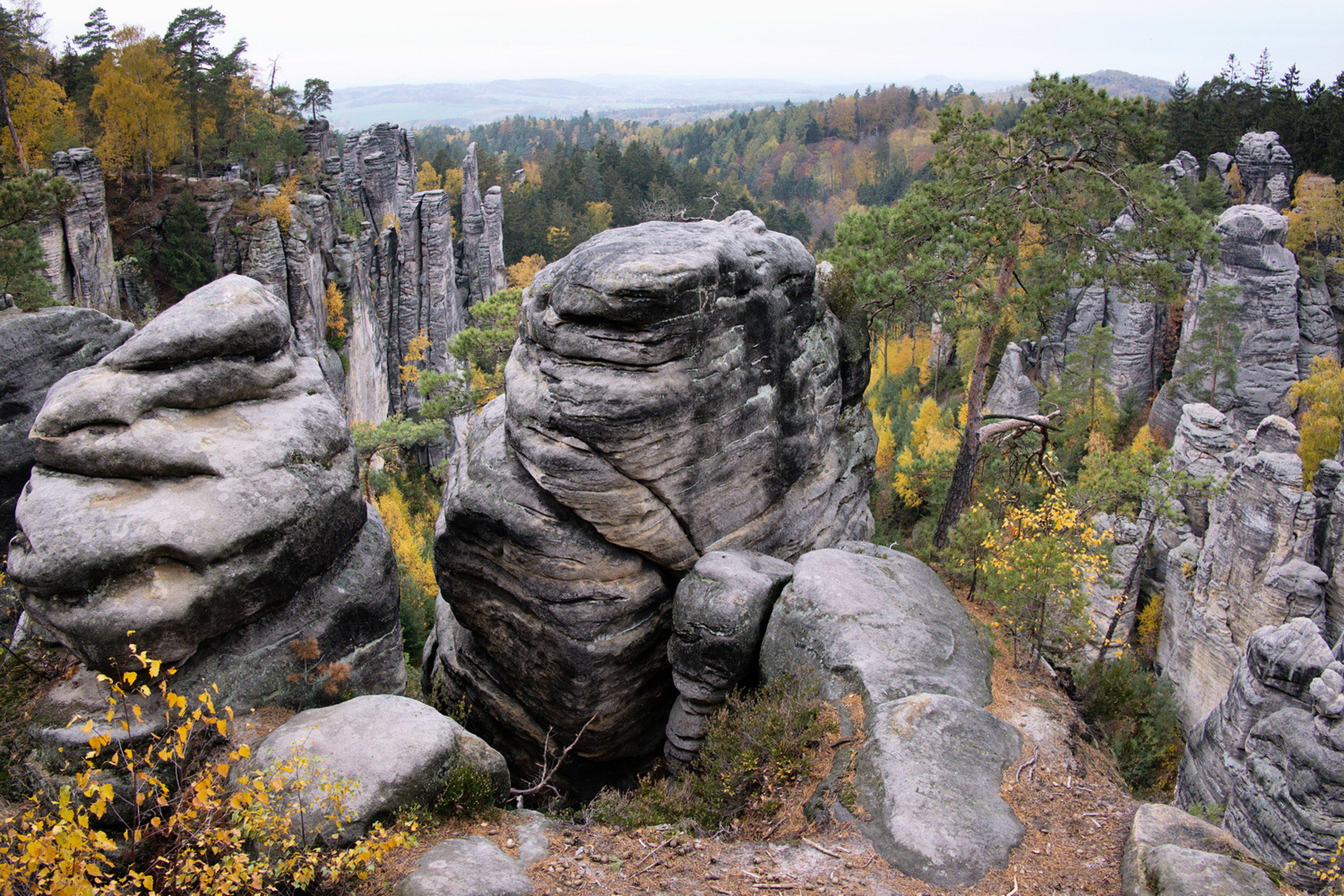 Prachovské skály