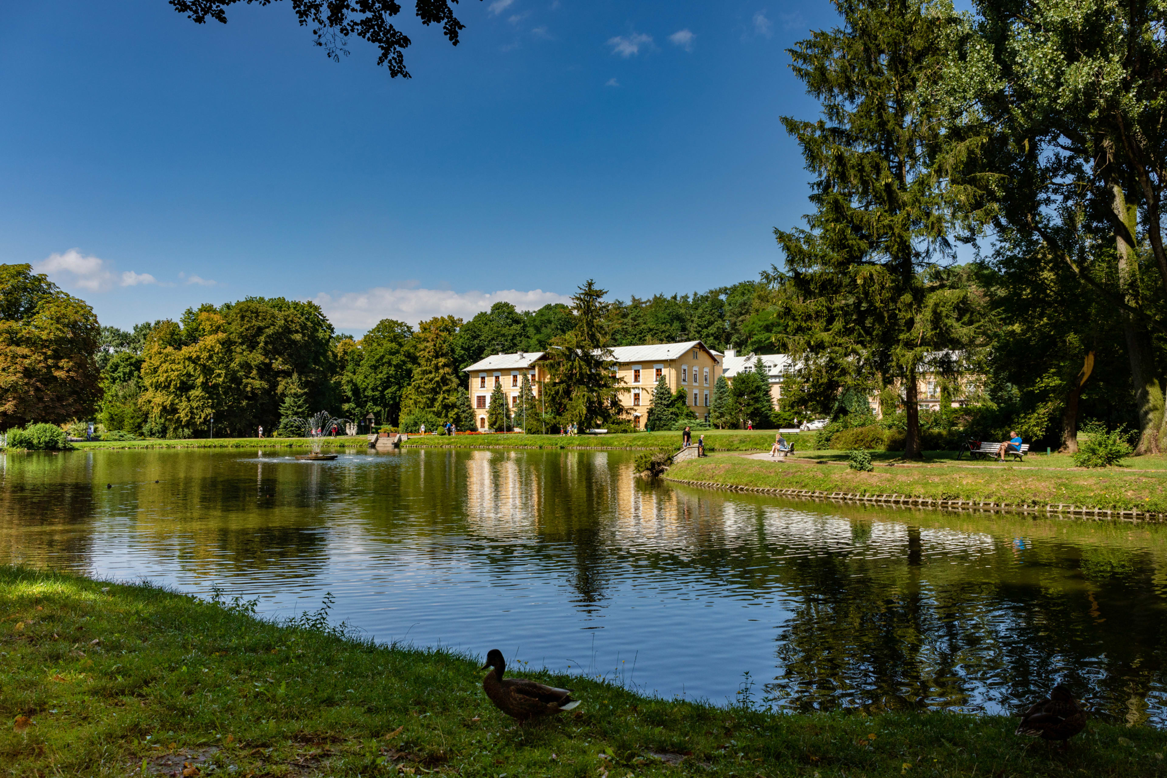 Naleczów
