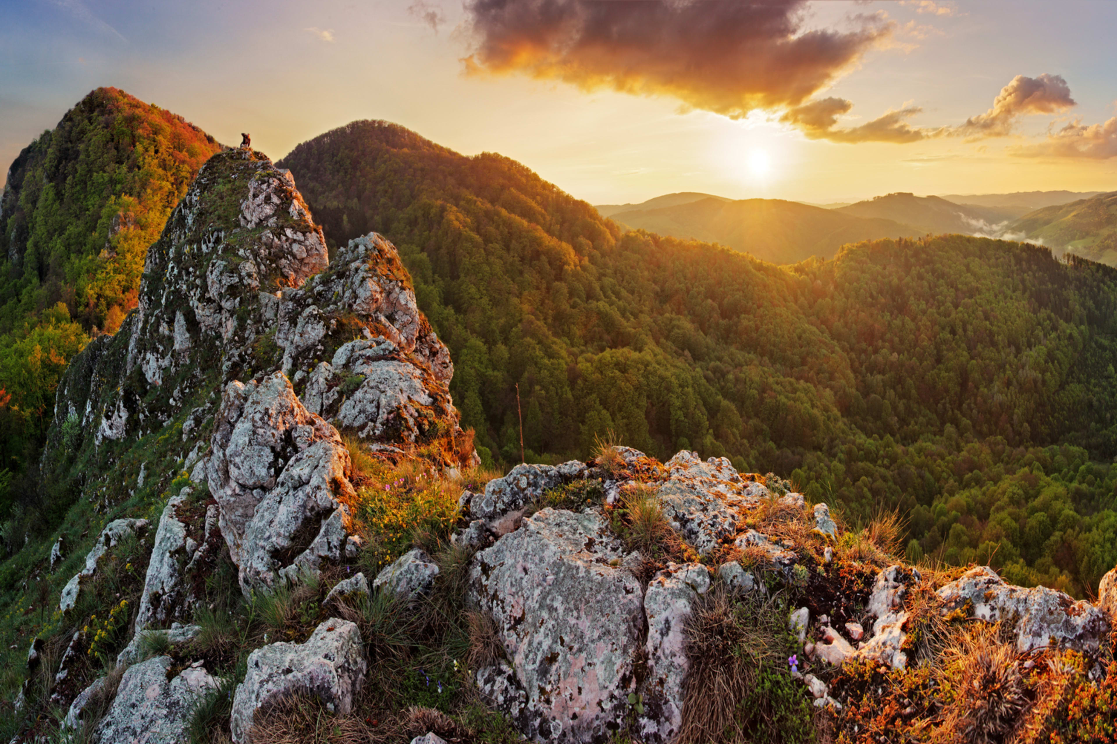 Slovensko
