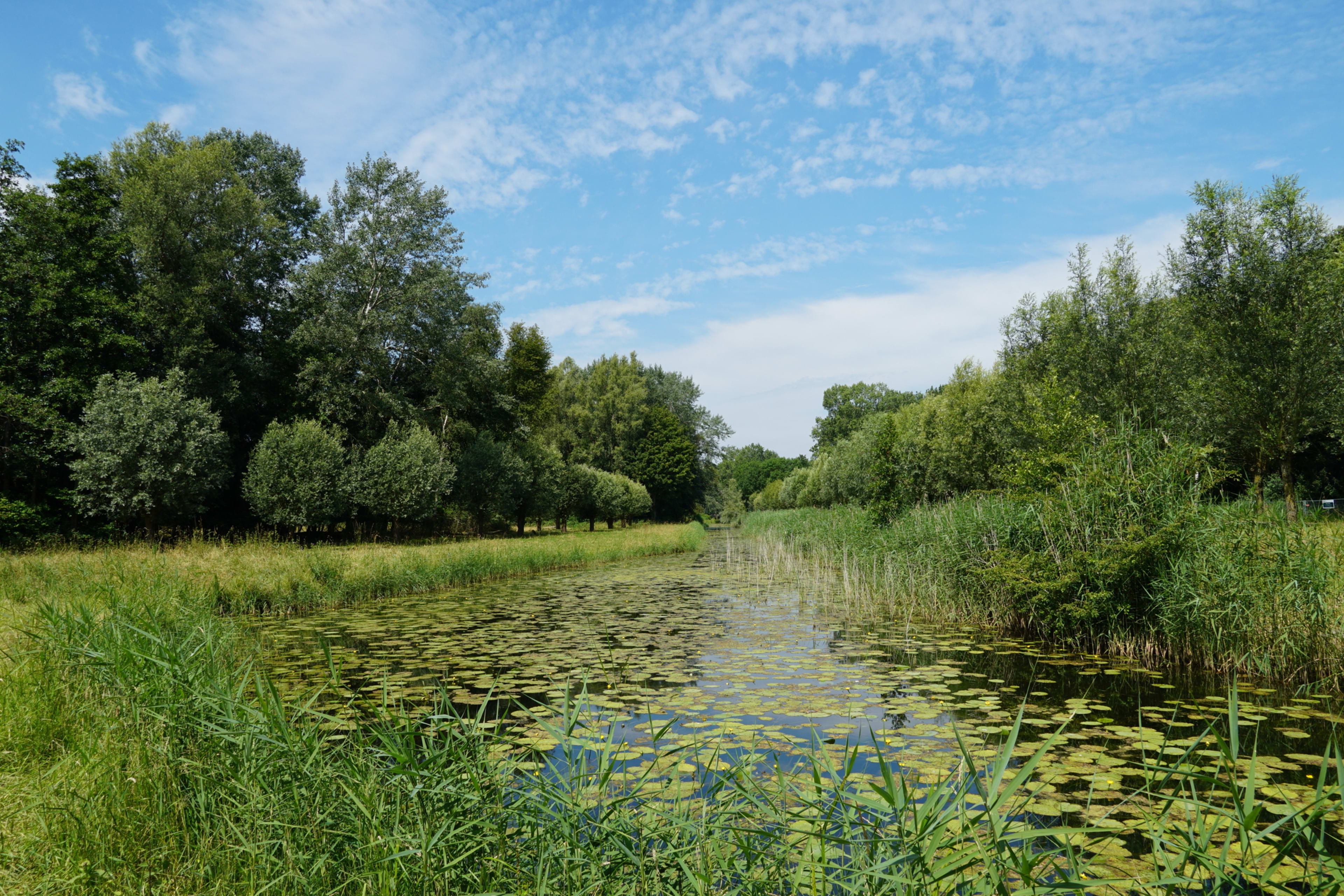 Národní park Biesbosch