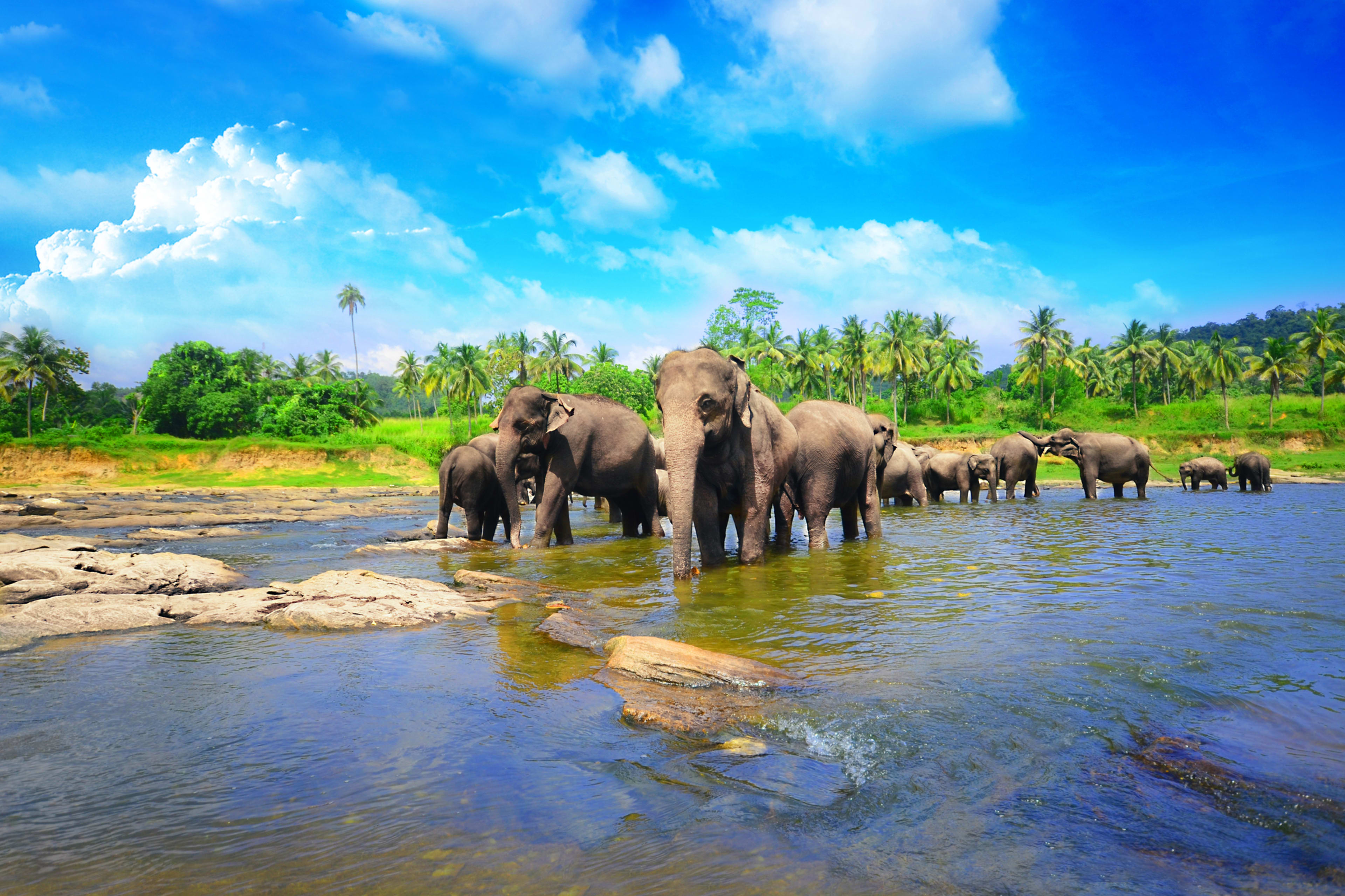 Srí Lanka