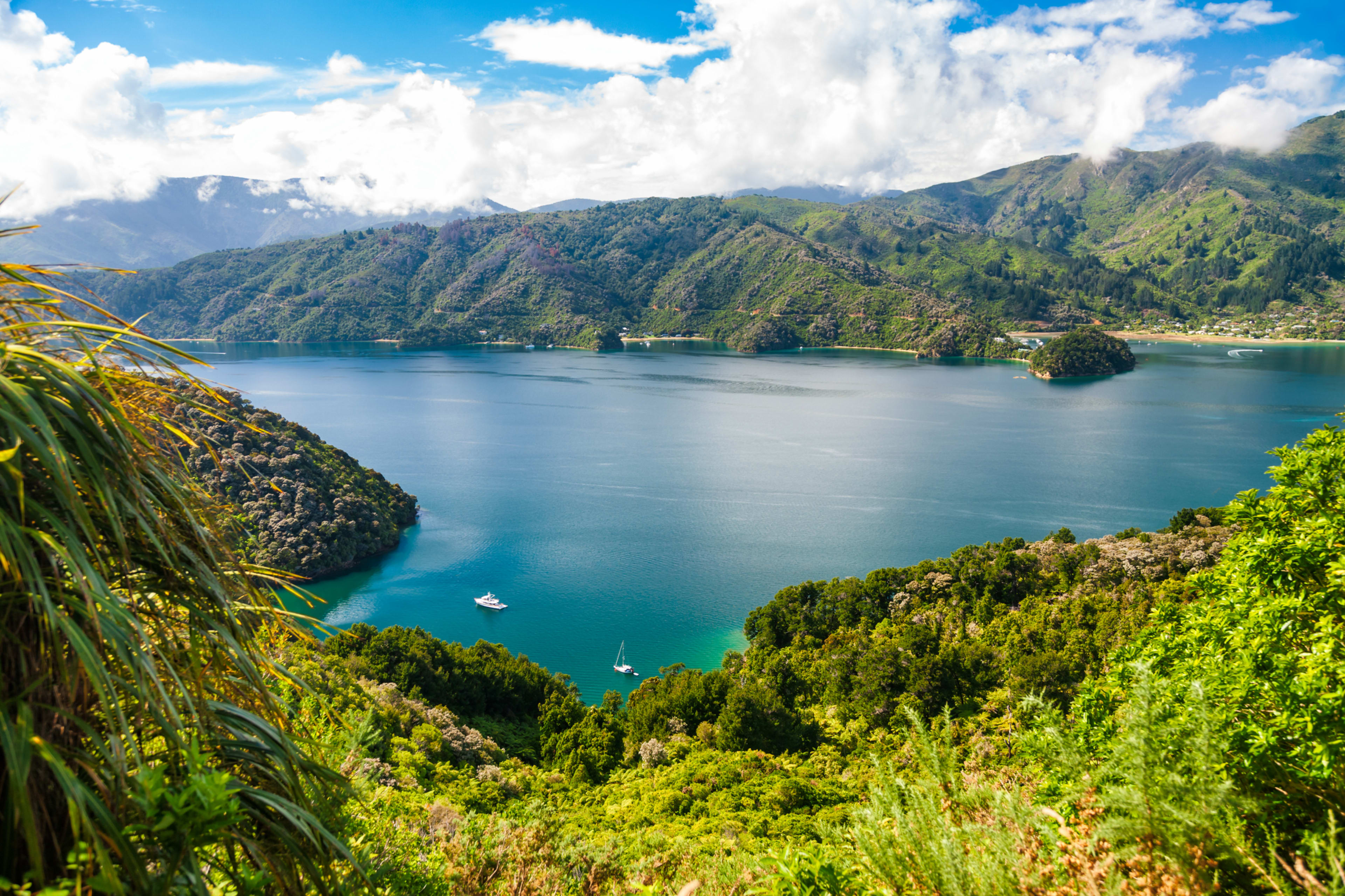 Marlborough Sounds